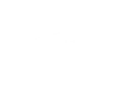 Dunasys Secteur Automobile