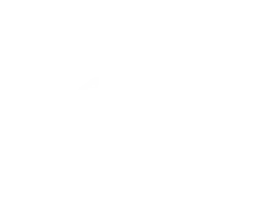 Dunasys Secteur Ferroviaire